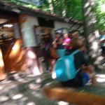 phoca_thumb_m_pohdkov les 234 Fotogalerie